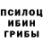 Галлюциногенные грибы Psilocybe dimon007_25