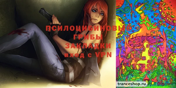 spice Алзамай