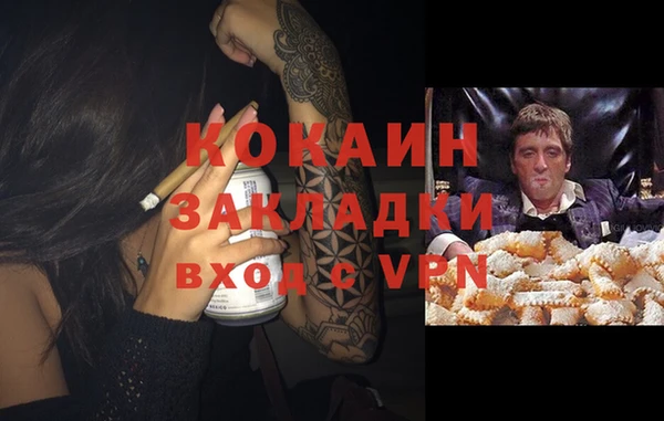 spice Алзамай